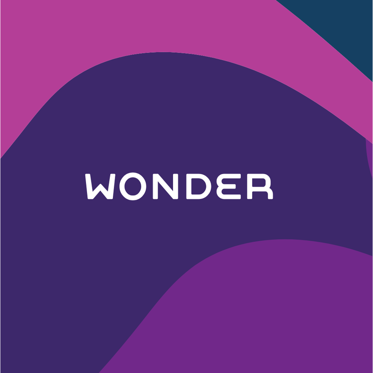Fanola Wonder Logo