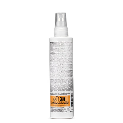 Nourishing Spray Mask 10 Actions Spray Leave-in