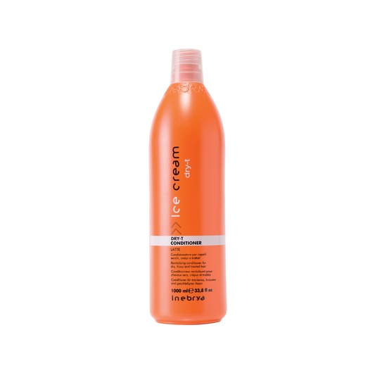 Ice Cream Dry-T Conditioner for dry, frizzy hair – 1000ml revitalizing latte formula