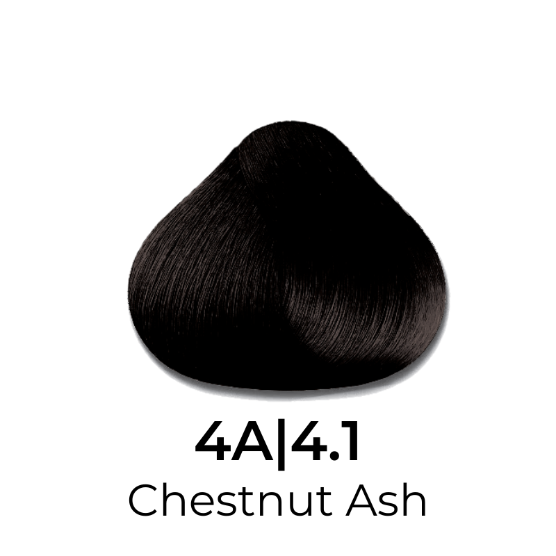 Chestnut Ash hair color swatch 4A|4.1, deep brown tone for professional beauty use