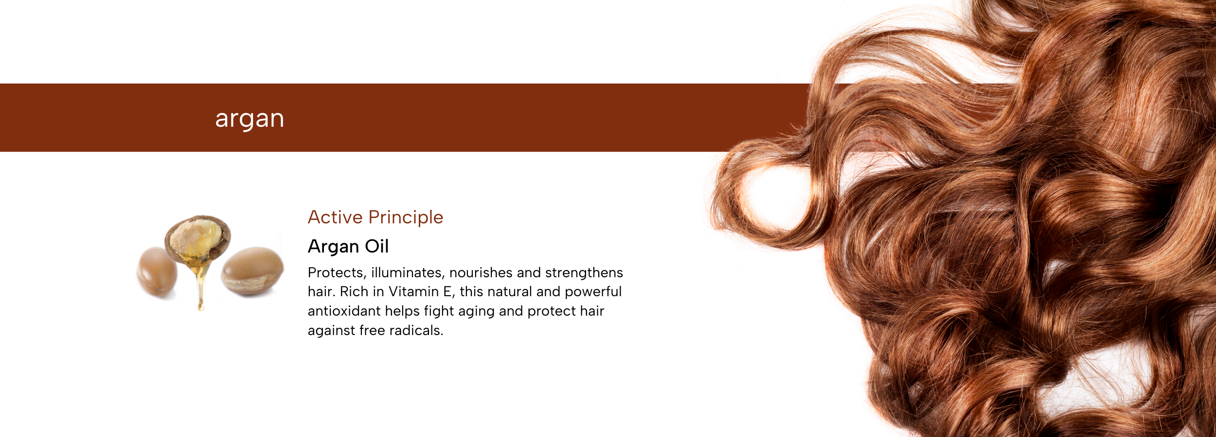 Argan oil for hair care: nourishes, strengthens, and protects with Vitamin E antioxidant benefits